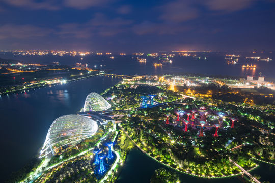 Aerial night view of Gardens by the Bay in Singapore