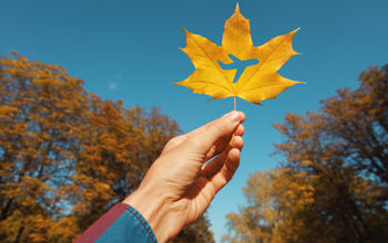 Autumn, Fall, seasons, leaf, airplane, plane
