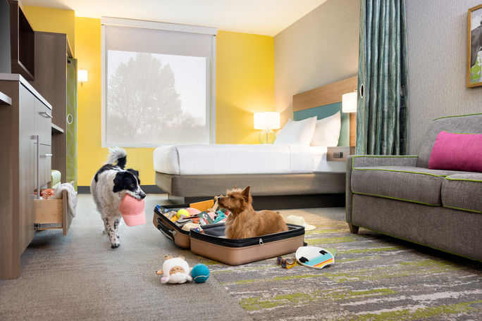 Home2 Suites by Hilton, Hilton, pet-friendly, dog, pets