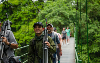 Disney Signature Experiences, National Geographic Expeditions, Costa Rica, Central America, birdwatching, wildlife, conservation, ecology, tours, land, journeys, explorations, rainforests