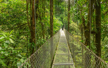 Hanging bridge in Costa Rica (PHOTO: Photo via DmitriyBurlakov / iStock / Getty Images Plus)