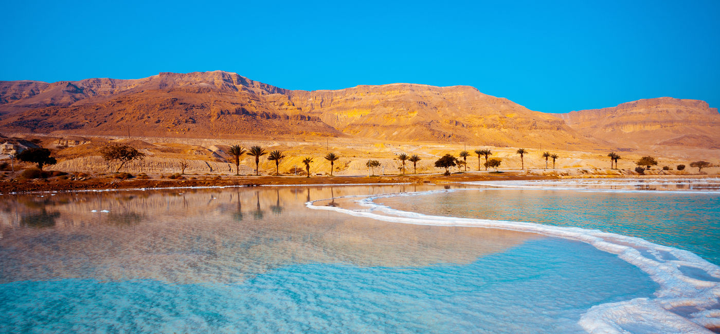 Image: Dead Sea seashore with palm trees and mountains on background (vvvita / iStock / Getty Images Plus)