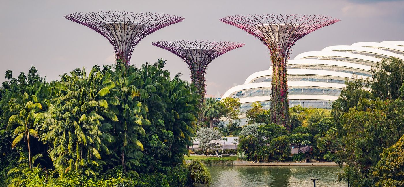 Image: Gardens by the Bay, Singapore. (photo via Unsplash/Daniel Welsh)