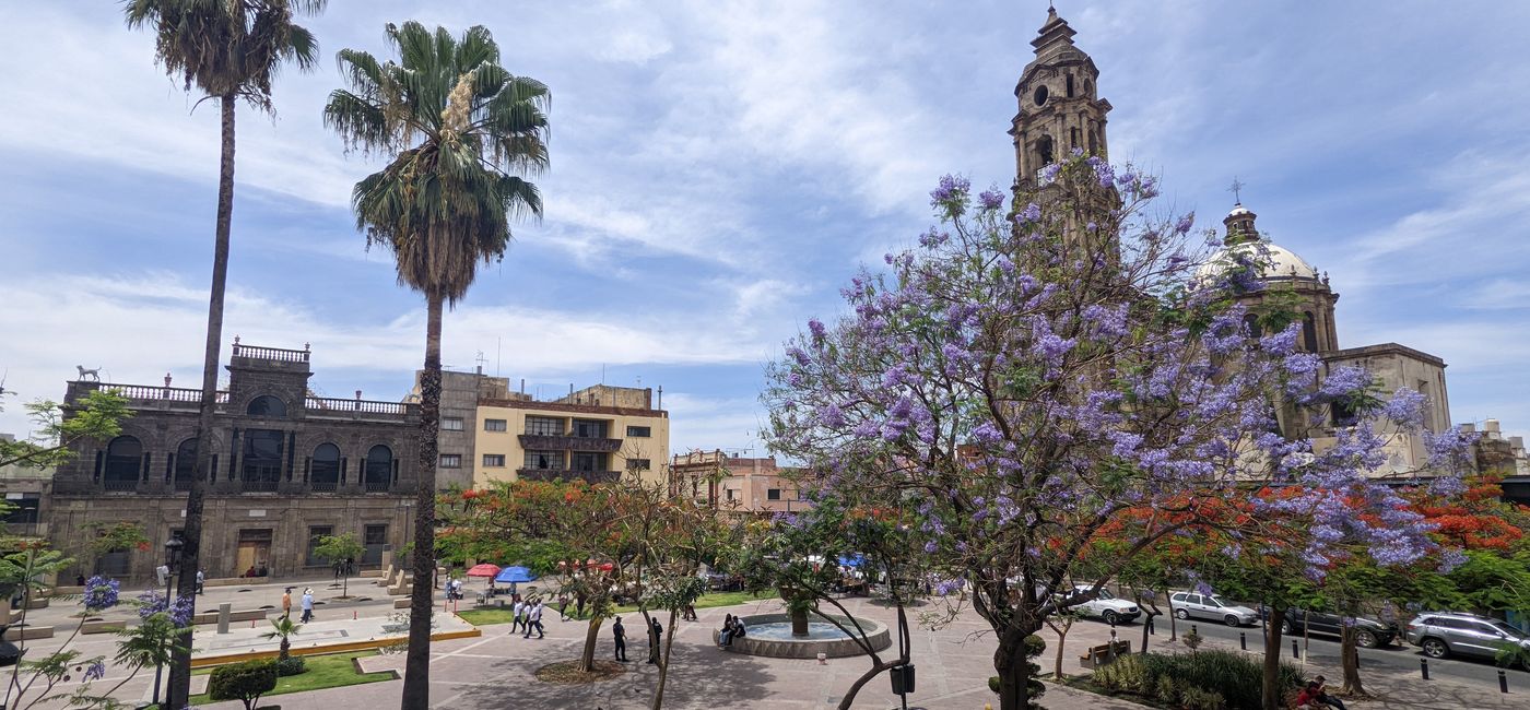 Image: Guadalajara's churches and plazas are a sight to behold. (photo via Alex Temblador)