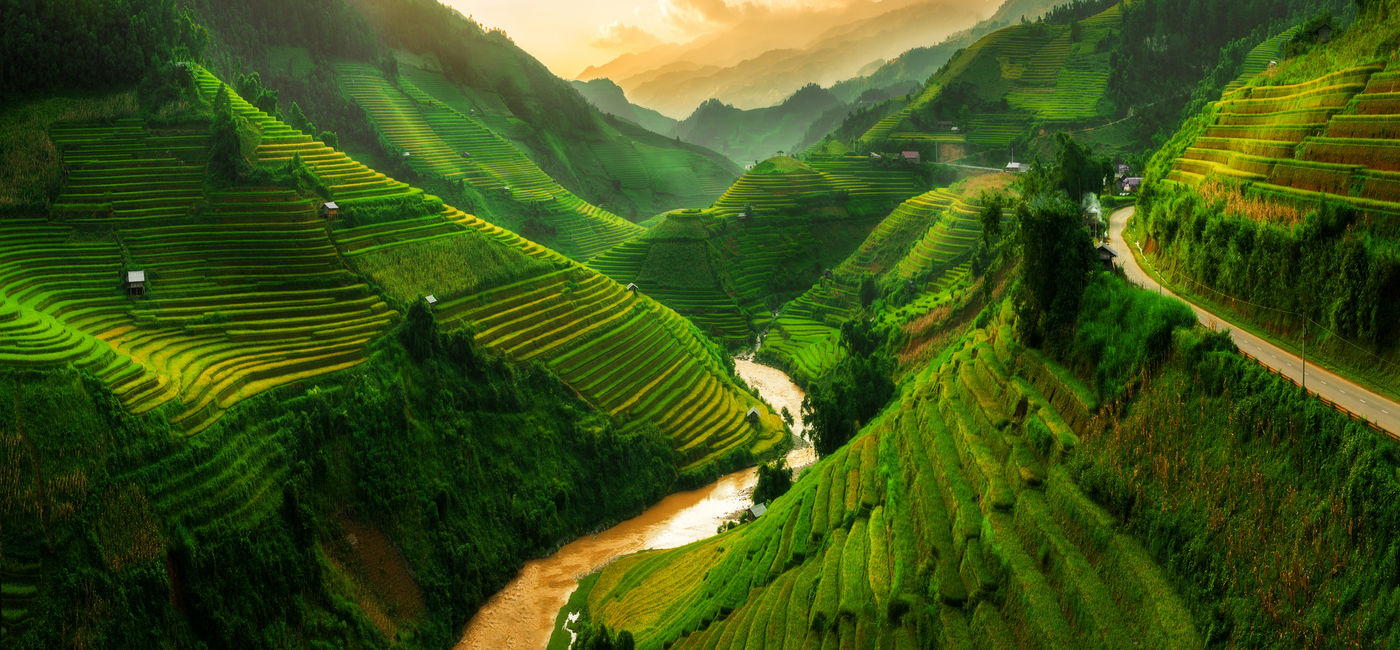 Image: PHOTO: Terraced rice field landscape near Sapa in Vietnam. (photo via NanoStockk / iStock / Getty Images Plus)