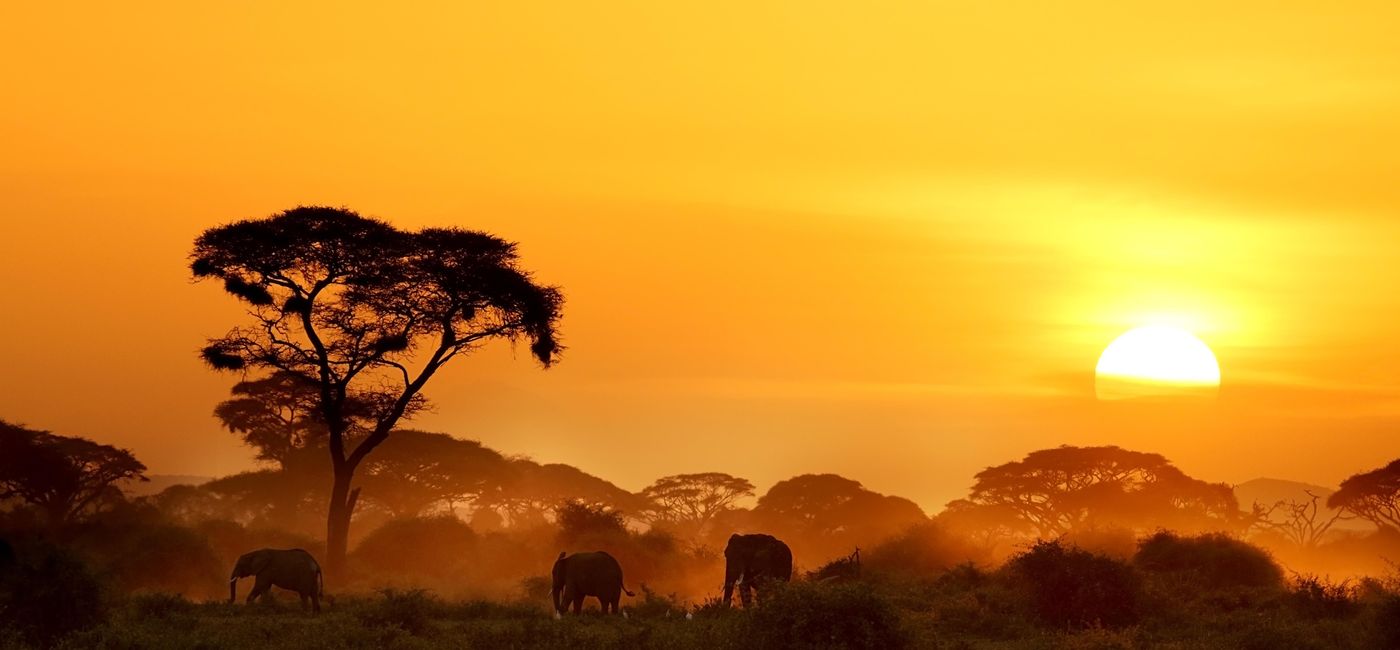 Image: Sunset in Amboseli, Kenya Africa (photo via DCBobrov/iStock/Getty Images Plus)
