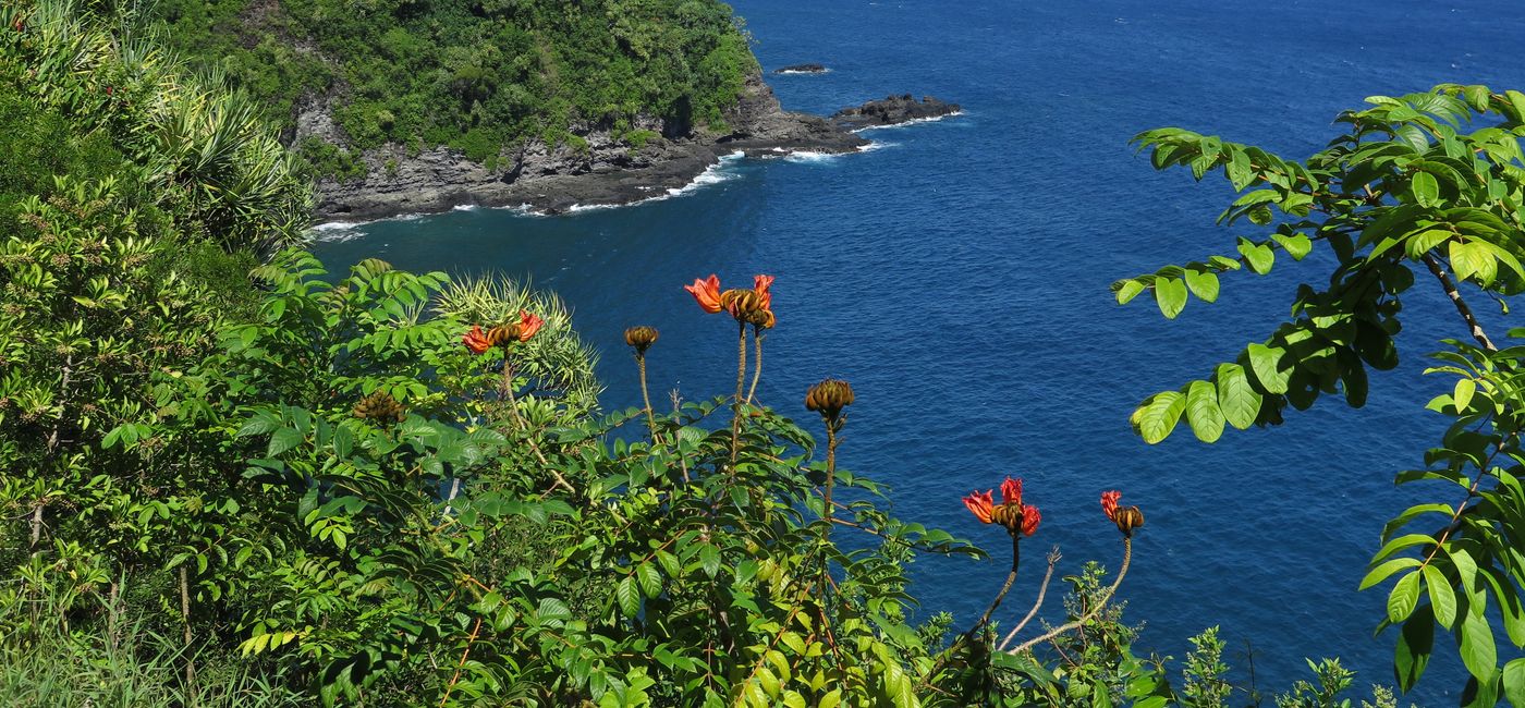 Image: The Road to Hana, Maui (Photo Credit: Jim Byers/TravelPulse Canada)
