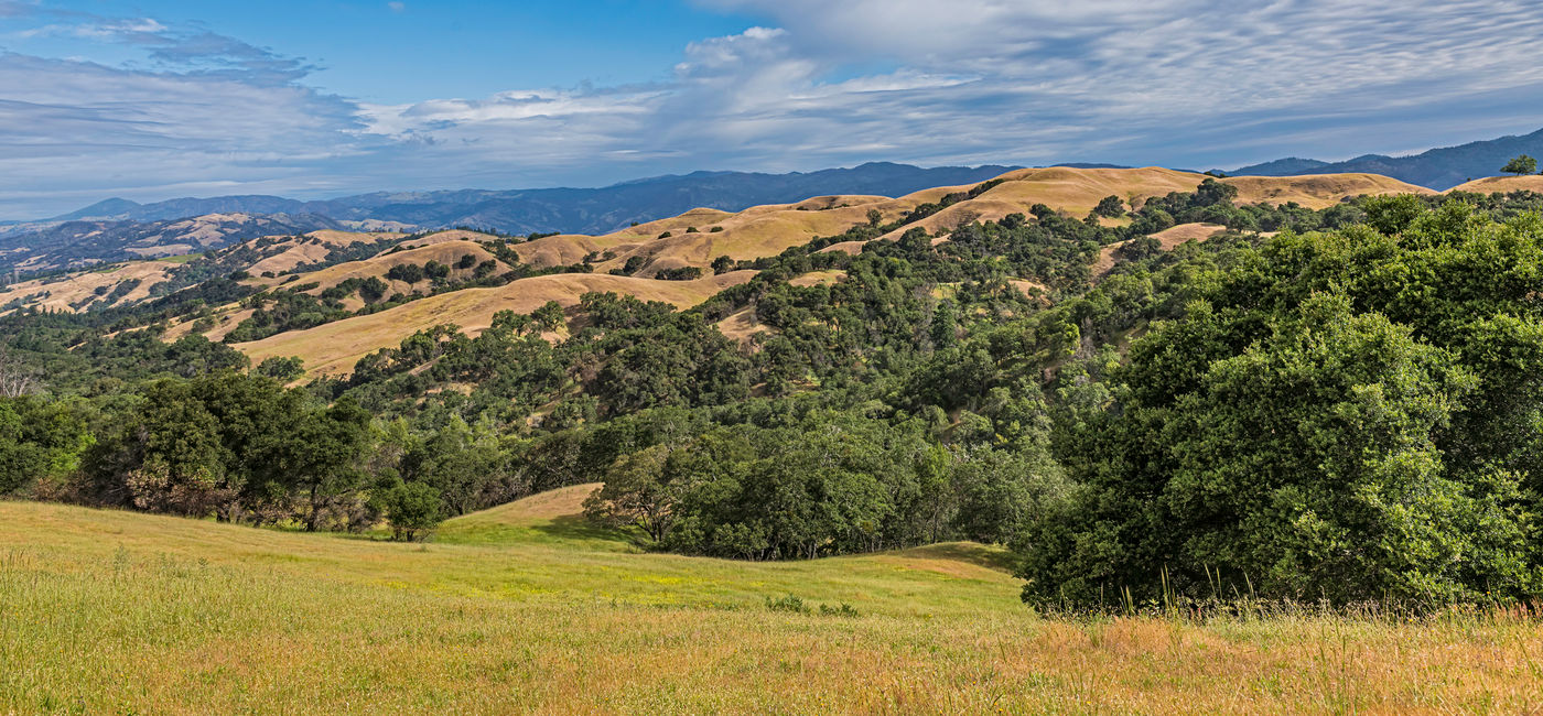 Image: View of Santa Rosa in Sonoma County, California. (photo via Gerald Corsi/iStock/Getty Images Plus)