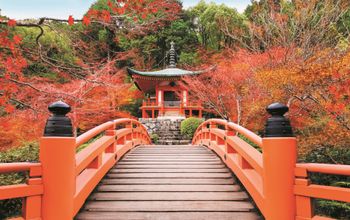 Daigoji Temple, Kyoto, Japan, Kyoto Japan, temples in Japan, Japanese temples, Regent Seven Seas Cruises